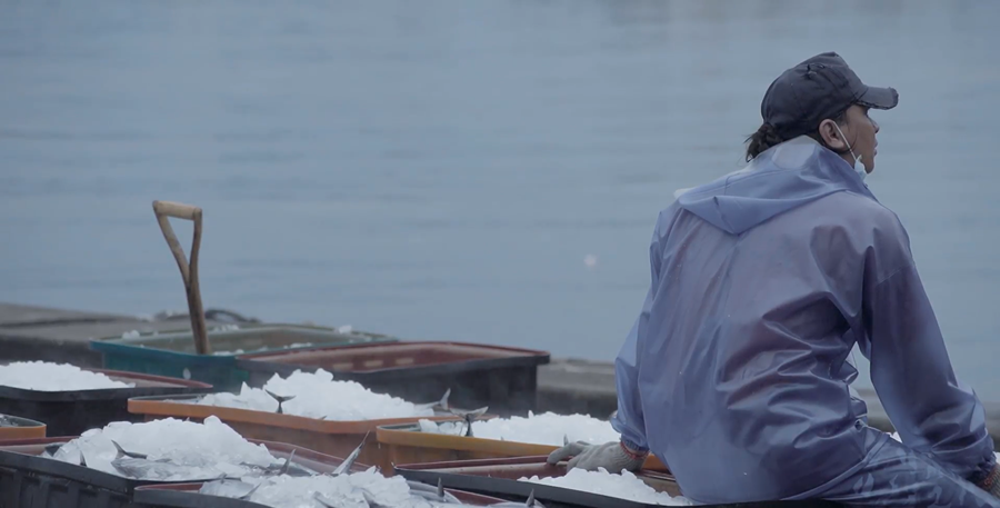 Migrant fisherman